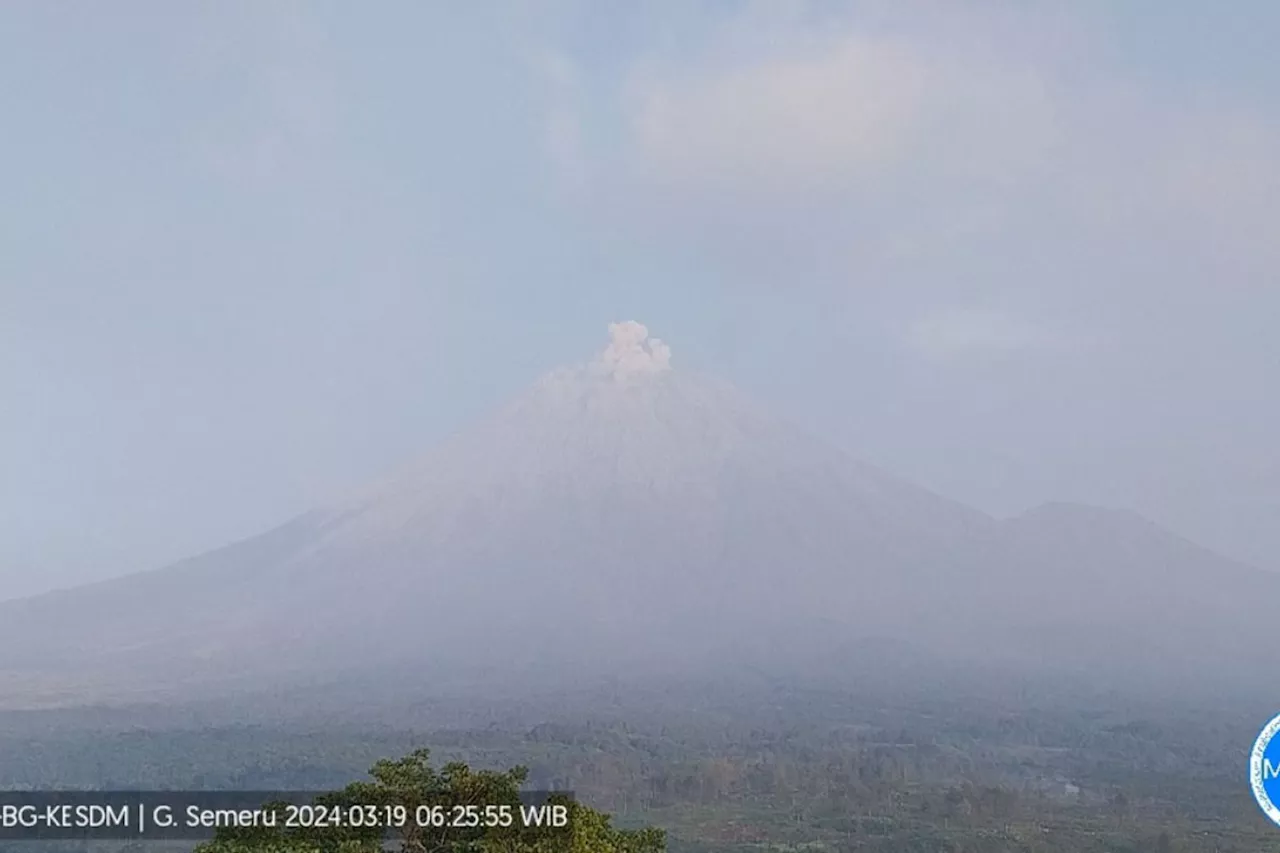 Gunung Semeru erupsi lagi dengan letusan setinggi 500 meter