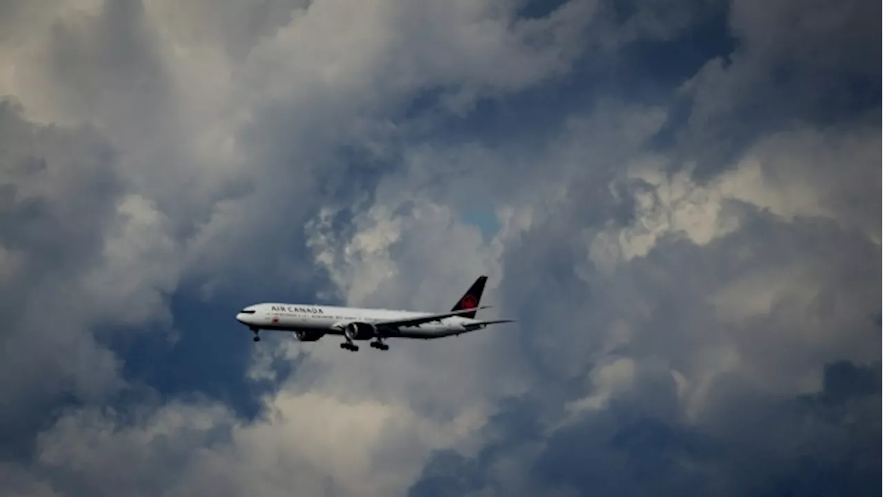 'Passed like a baton': Advocates, Air Canada CEO clash on accessible travel