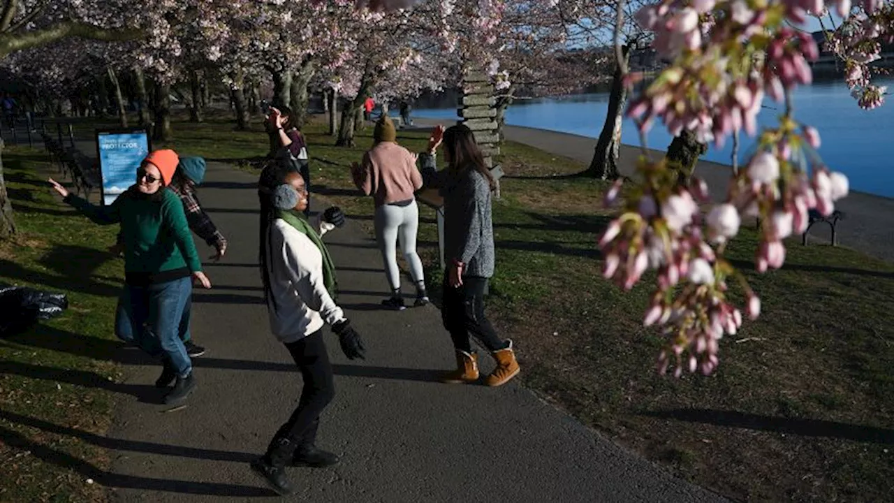 Spring equinox: First day of spring ushers in longer days and ancient ways