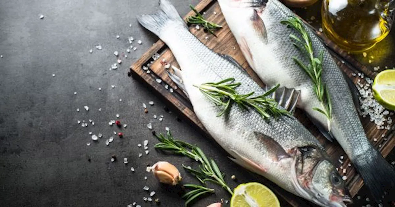 Esta es la CANTIDAD de PESCADO que puede COMER una PERSONA a la SEMANA, según un ESPECIALISTA de HARVARD: qué