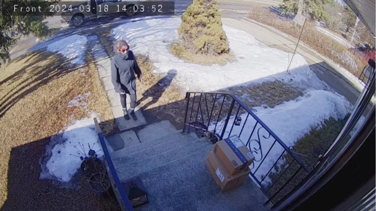 RCMP working to track down Alberta porch pirate