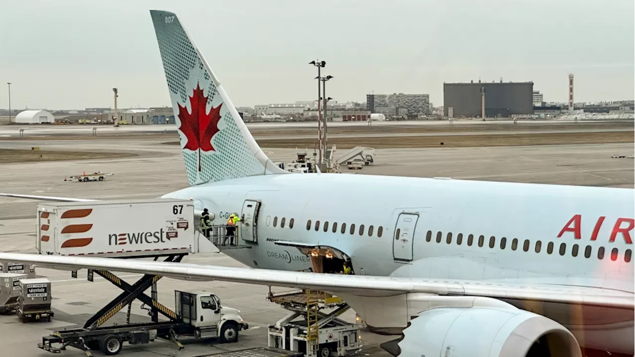 'Passed like a baton': Advocates, Air Canada CEO clash on accessible travel