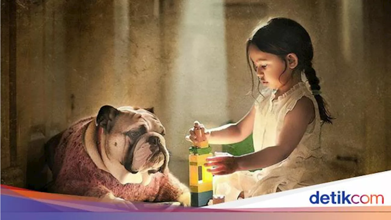 Tips Cegah dan Hilangkan Bau Peliharaan di Rumah