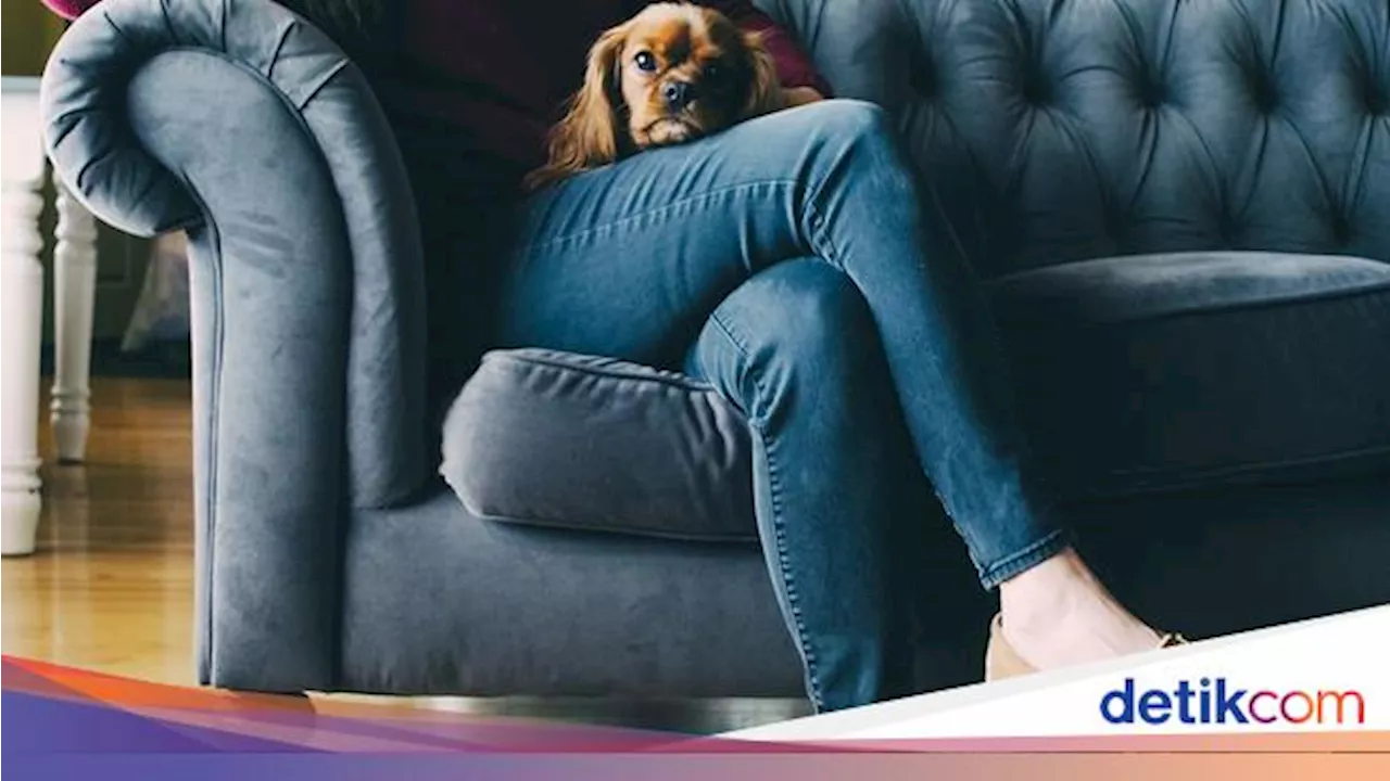 Tips Sulap Sofa Jelek di Rumah Jadi Nyaman Lagi!