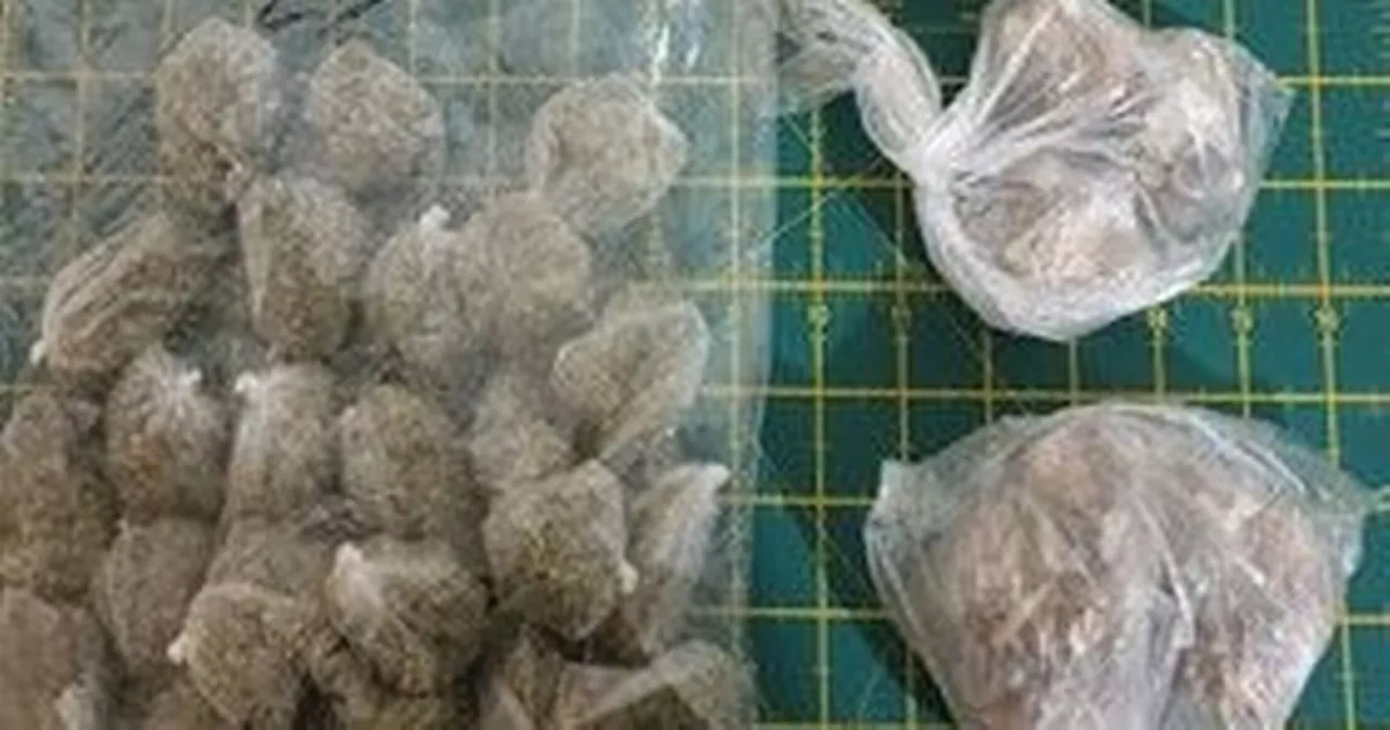 Smell of man smoking cannabis leads police to large drug stash