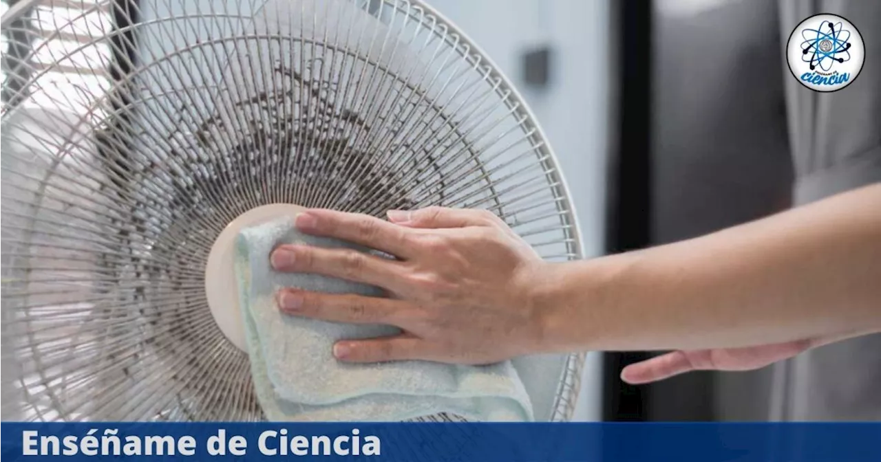 3 trucazos para arrasar con la suciedad del ventilador y que no requiere tanto esfuerzo