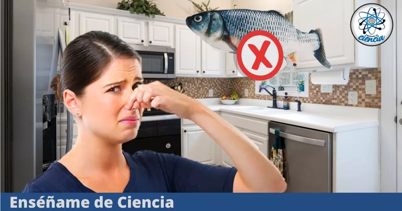 El truco que muy pocos conocen para eliminar el olor a pescado de la cocina