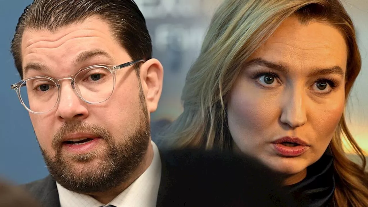 Busch till attack mot Åkesson: ”Snöflingebeteende”