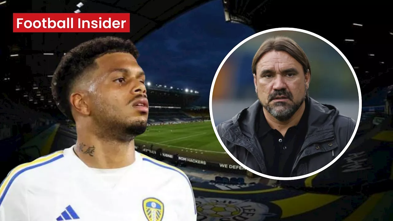 ‘Leeds United are in fear’ after ‘huge’ Georginio Rutter injury update