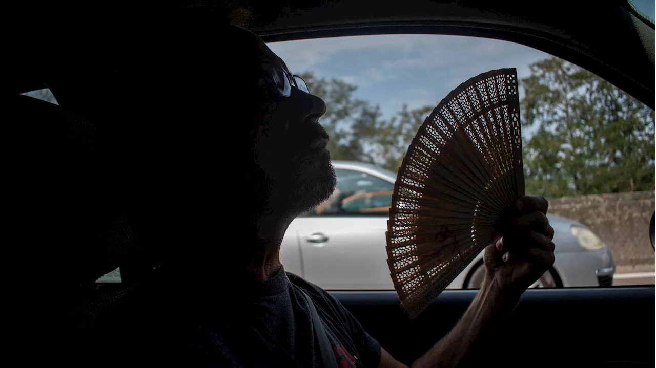 Canicules : le 'cercle vicieux de la voiture', climatisée mais polluante