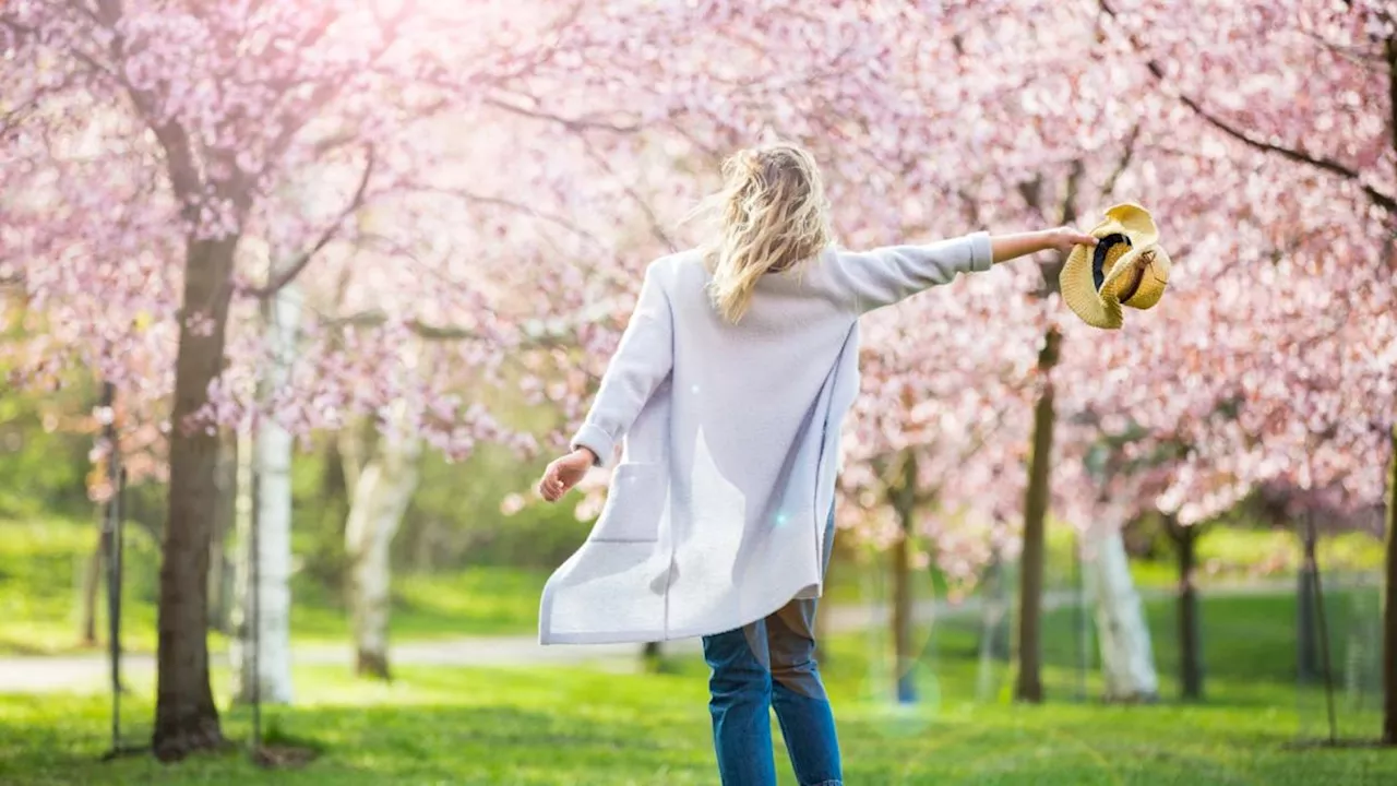 Previsioni del tempo: sole e temperature in salita ma nel weekend potrebbe cambiare tutto