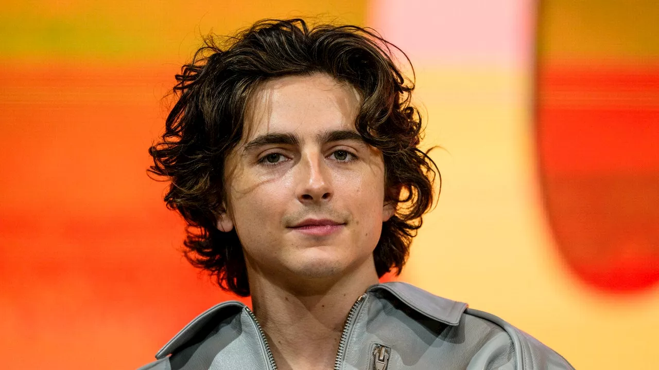 Timothée Chalamet stars as Bob Dylan in the new biopic