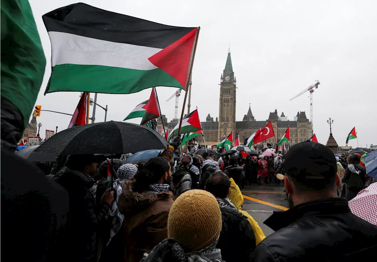 A divide is growing between the Conservatives, Liberals on issue of Israeli and Palestinian rights