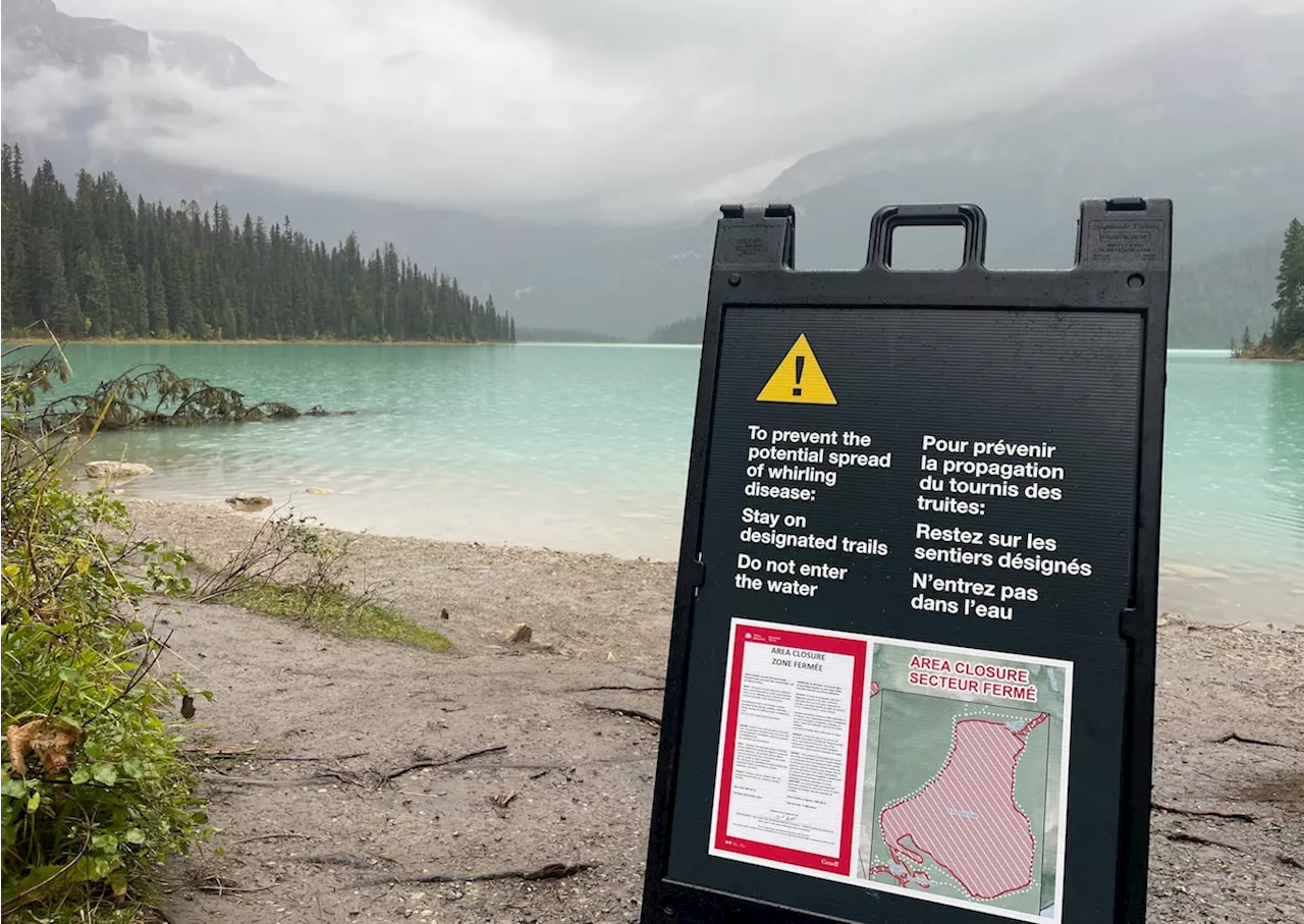 Invasive species lead to access restrictions in B.C., Alberta national parks