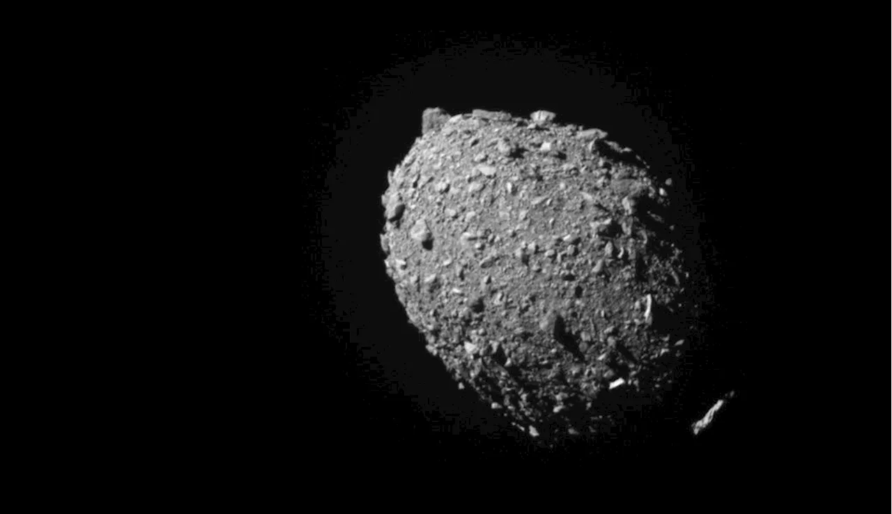 Collision with NASA spacecraft altered shape of asteroid Dimorphos