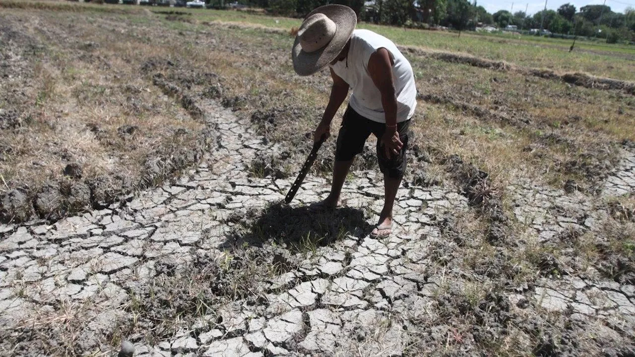 DA: P379.06M worth of assistance provided to El Niño-hit farmers