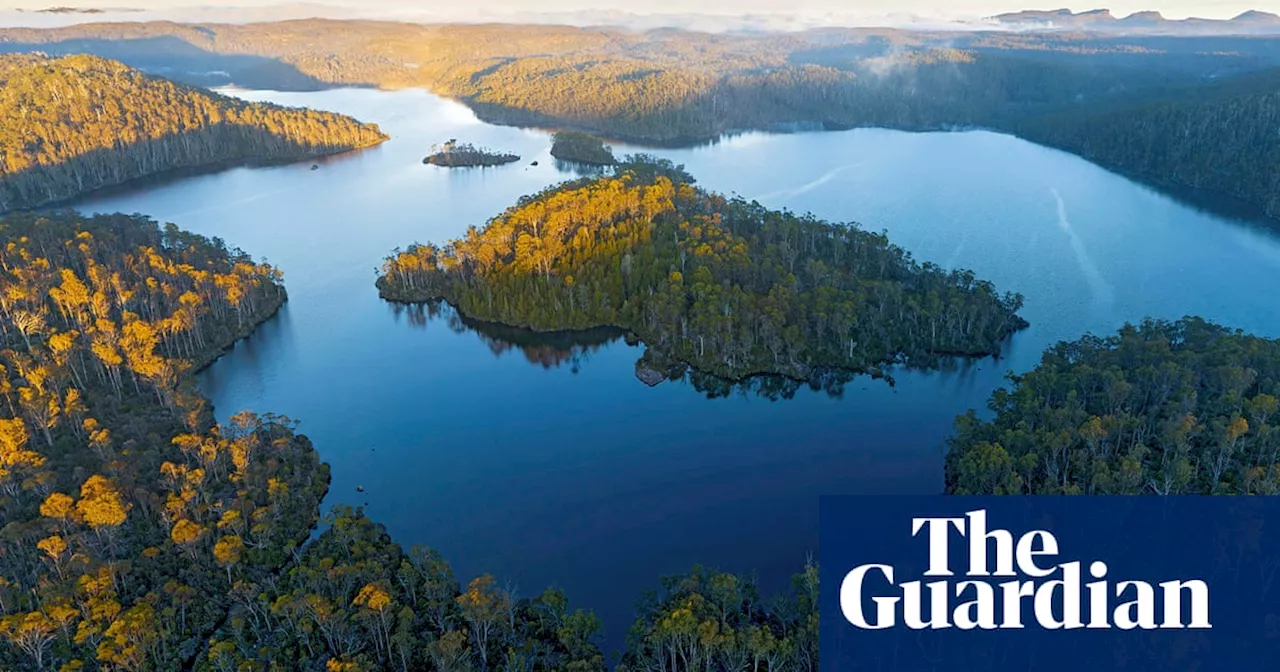 Environment takes a backseat in Tasmanian election campaign