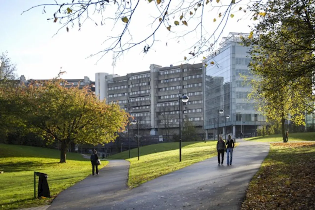 Bedwantsen aangetroffen in studentenkamers VUB-campus Etterbeek