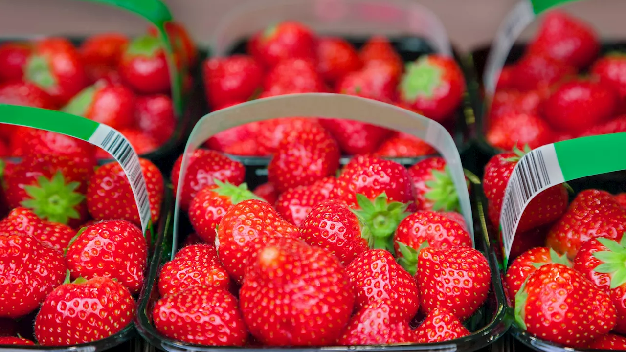 Bub (8) isst in der Schule Erdbeeren und stirbt