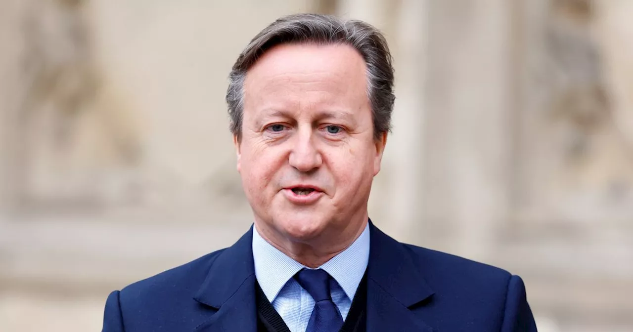 Russian Embassy Slams David Cameron With Bizarre Take On Putin's Presidential Election