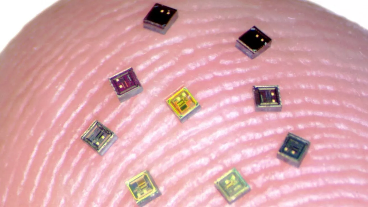 Scientists create salt-sized sensor to unlock mind secrets wirelessly