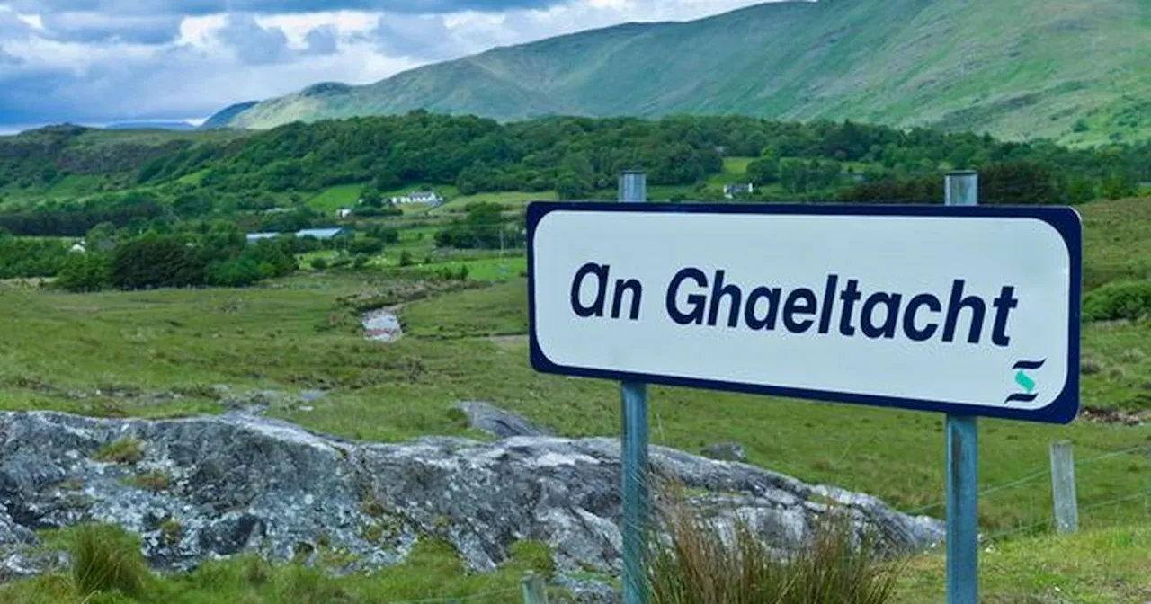 12 everyday English words you didn't realise came from the Irish language