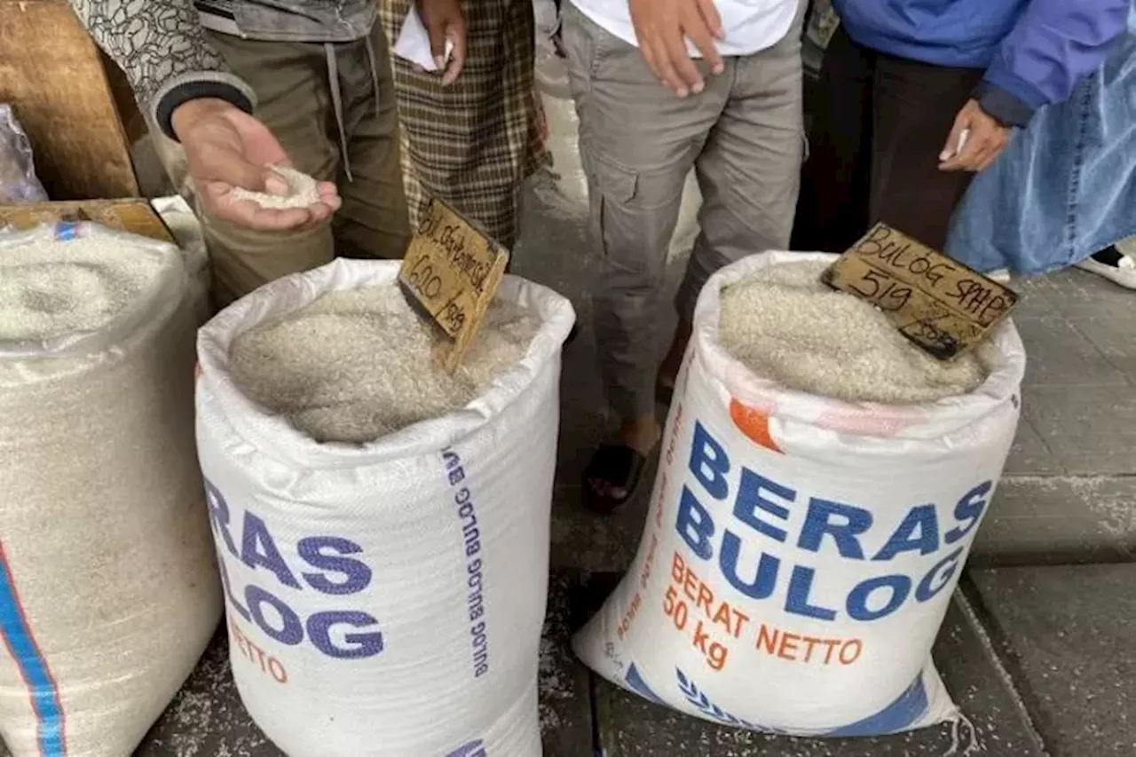 Harga Beras Diprediksi Tidak Turun Seperti Semula, Bukan Disebabkan El Nino, Begini Penjelasan Dirut Bulog