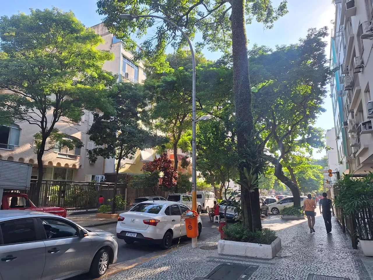 'Gato', falta de manutenção, furto de cabos: veja problemas nos postes de luz do Rio que podem dar choque