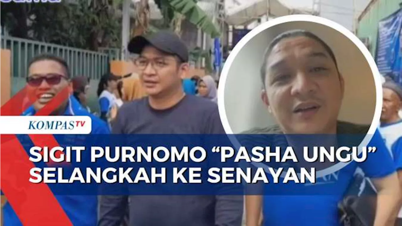 Cerita Caleg Sigit Purnomo 'Pasha Ungu' Berpeluang Lolos ke Senayan