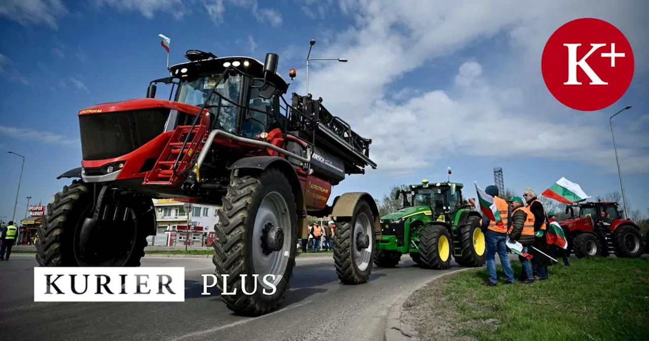 Bremse für Agrarimporte aus Ukraine: Bauern treiben die EU vor sich her