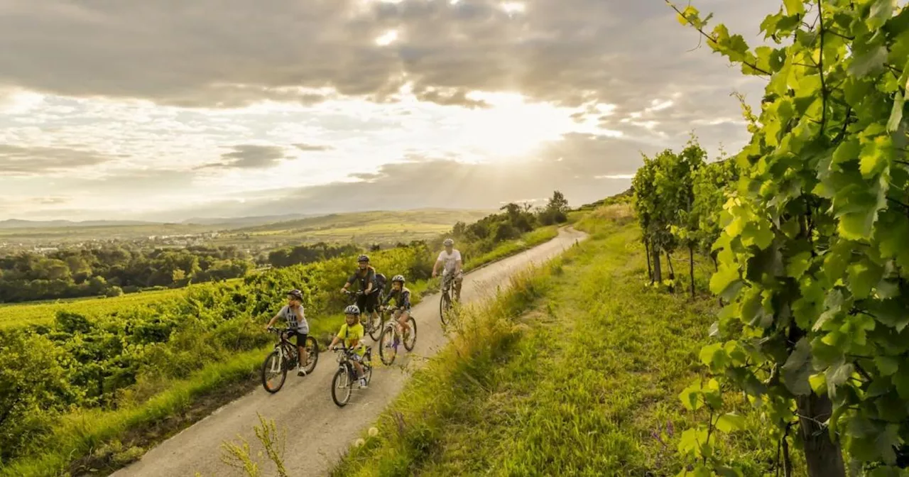 NÖ: Radfahren ist für Auslandsgäste immer wichtiger