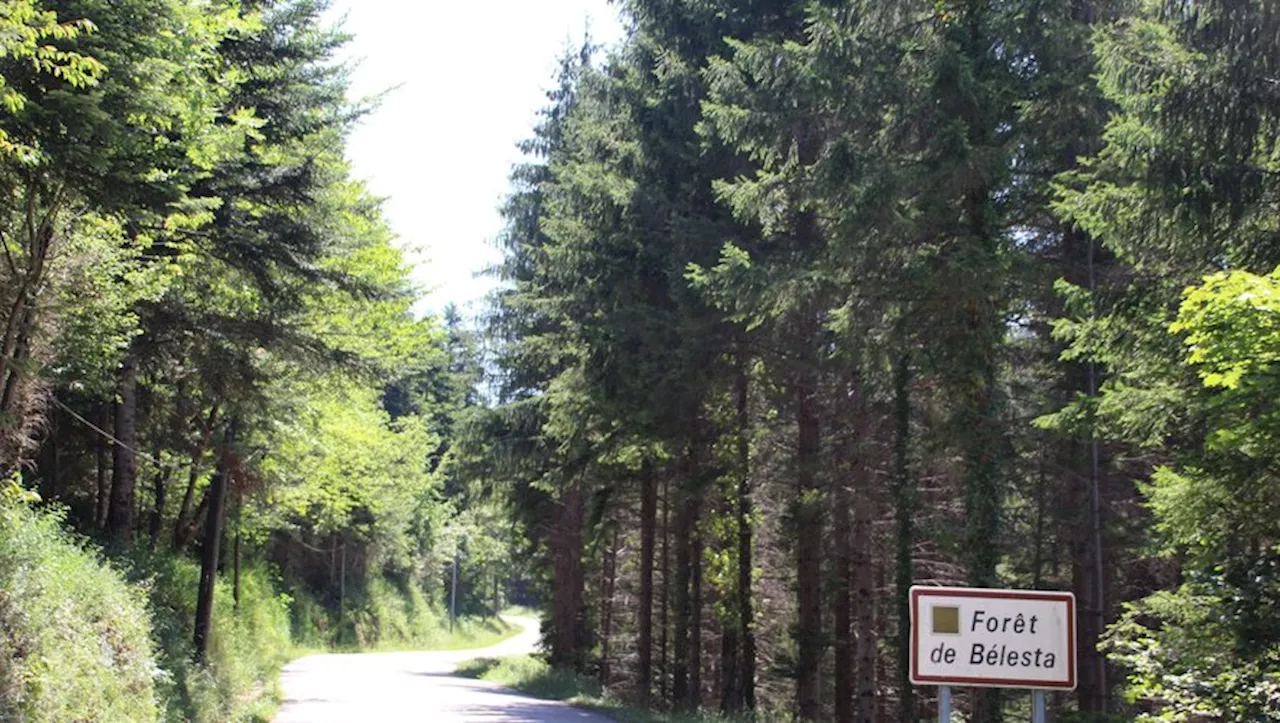 L’Ariège se classe dixième département le plus vert de France et meilleur dans l’Occitanie