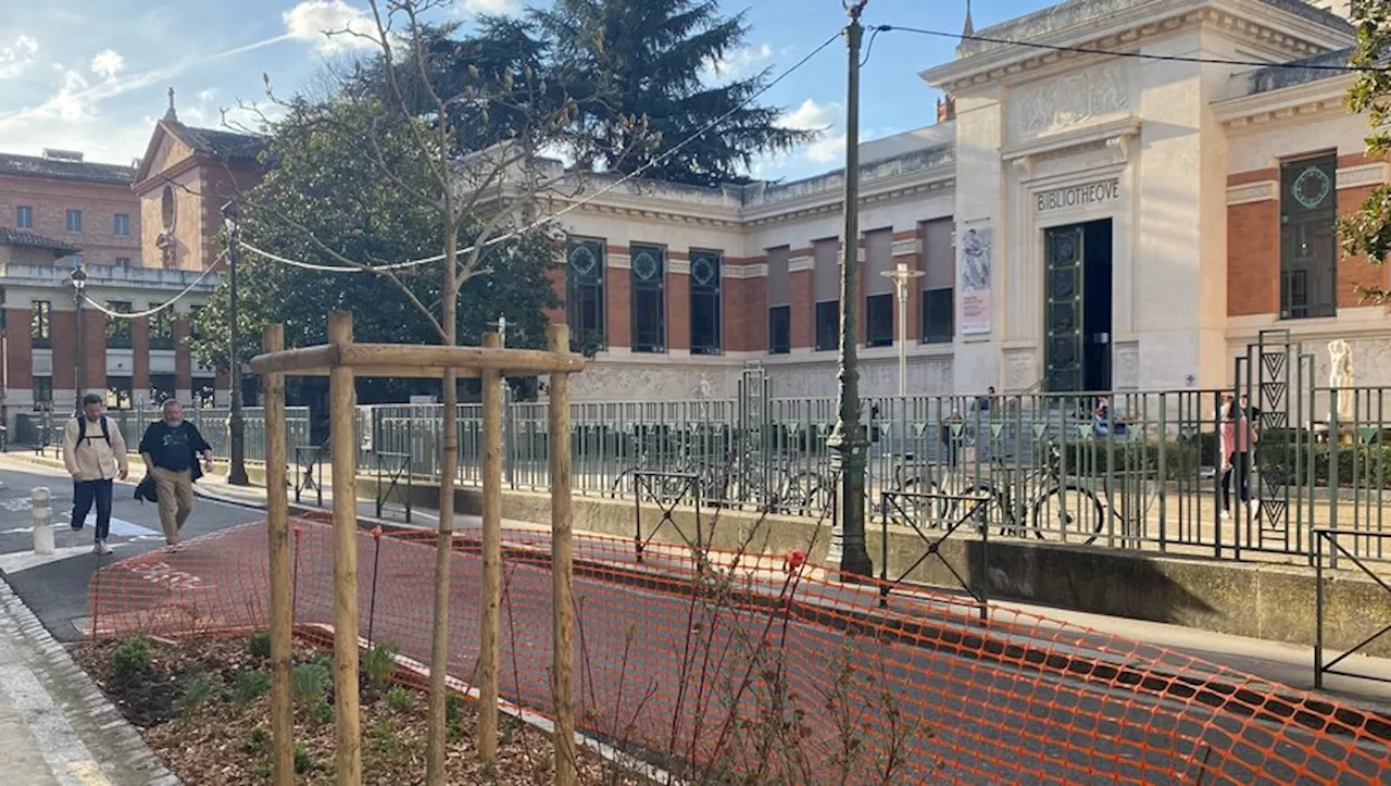 Toulouse : très minérale, la rue du Périgord prend des couleurs grâce à la végétalisation