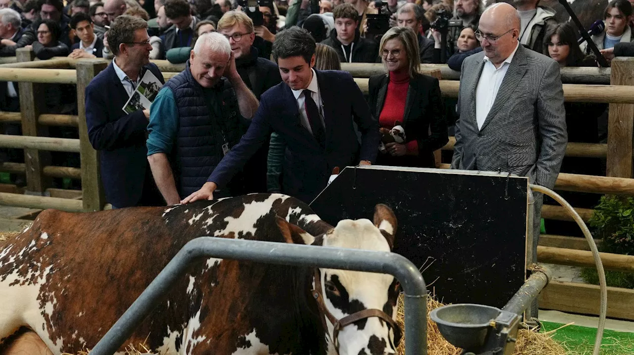 Attal reçoit les syndicats agricoles majoritaires dans un climat toujours tendu