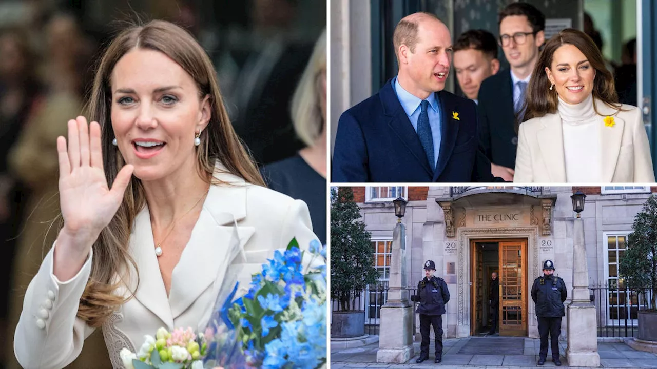 Kate Middleton 'security breach' as hospital staff 'attempted to view' her private medical records after...