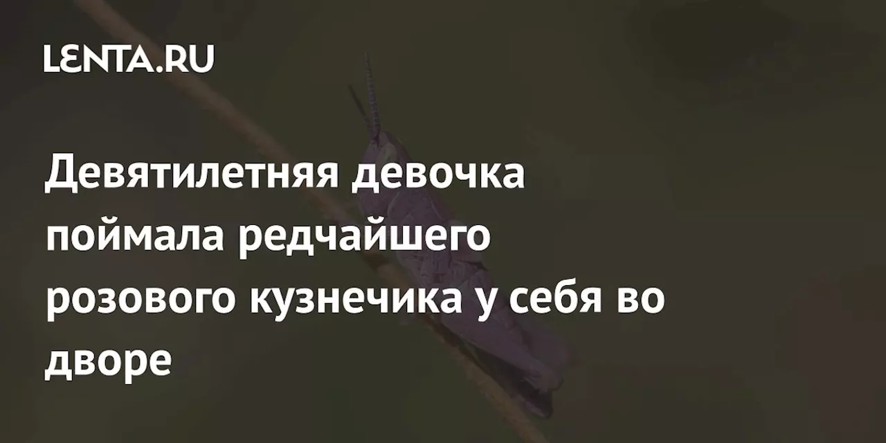 Девятилетняя девочка поймала редчайшего розового кузнечика у себя во дворе