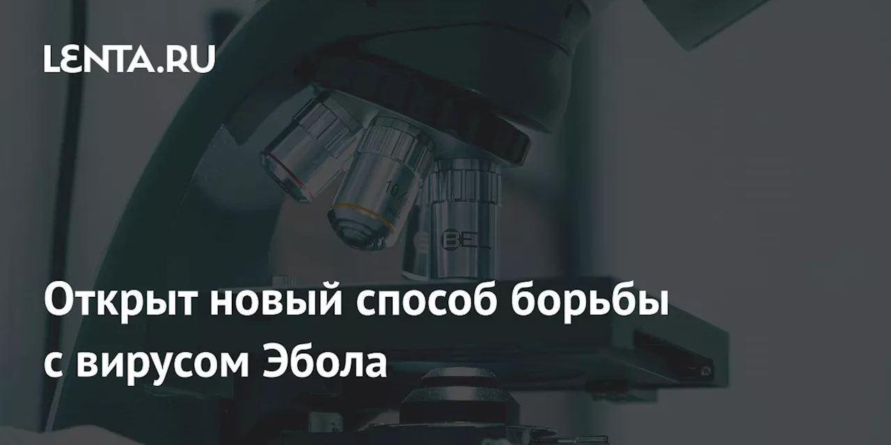 Открыт новый способ борьбы с вирусом Эбола