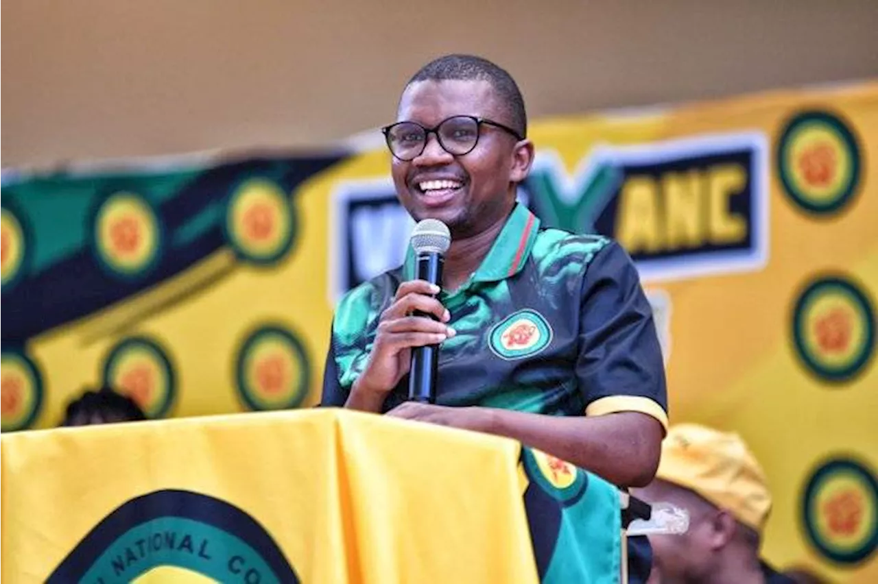 State shouldn’t be ‘scared’ to employ ANC members, youth league president says