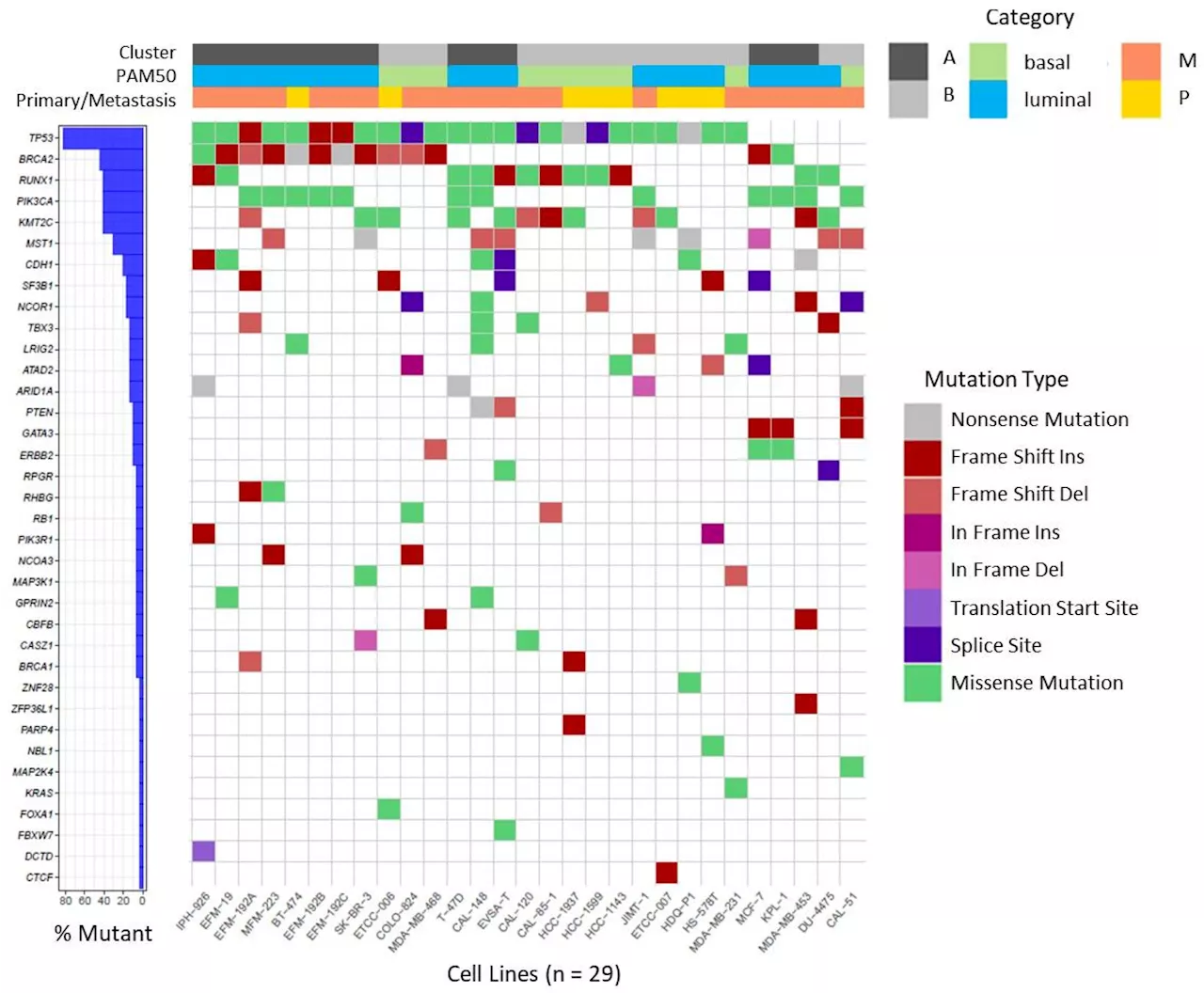 Subtyping of breast cancer cell lines reveals insights into cancer-relevant genes