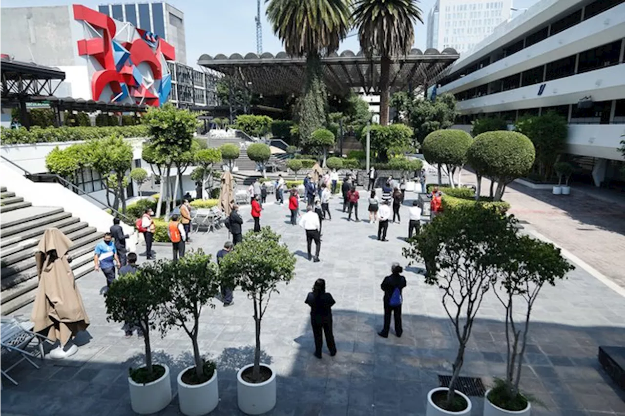 Toro aparece en la Universidad La Salle de CDMX; esto es todo lo que sabemos