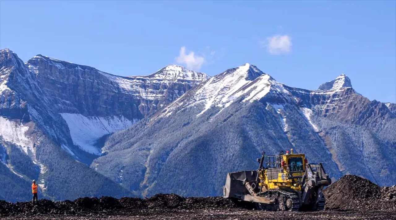 Teck’s Elk Valley cleanup could cost $4.7 billion, says environment group