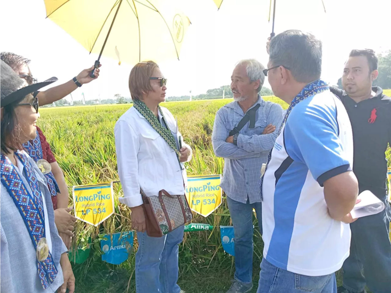 DA, FDN Integrated farm inspires, recommends use of Long Ping Hybrid Rice to farmers