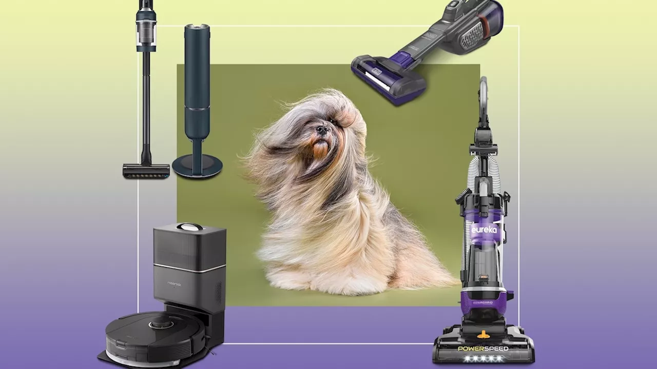 These are the 8 best vacuums for pet hair