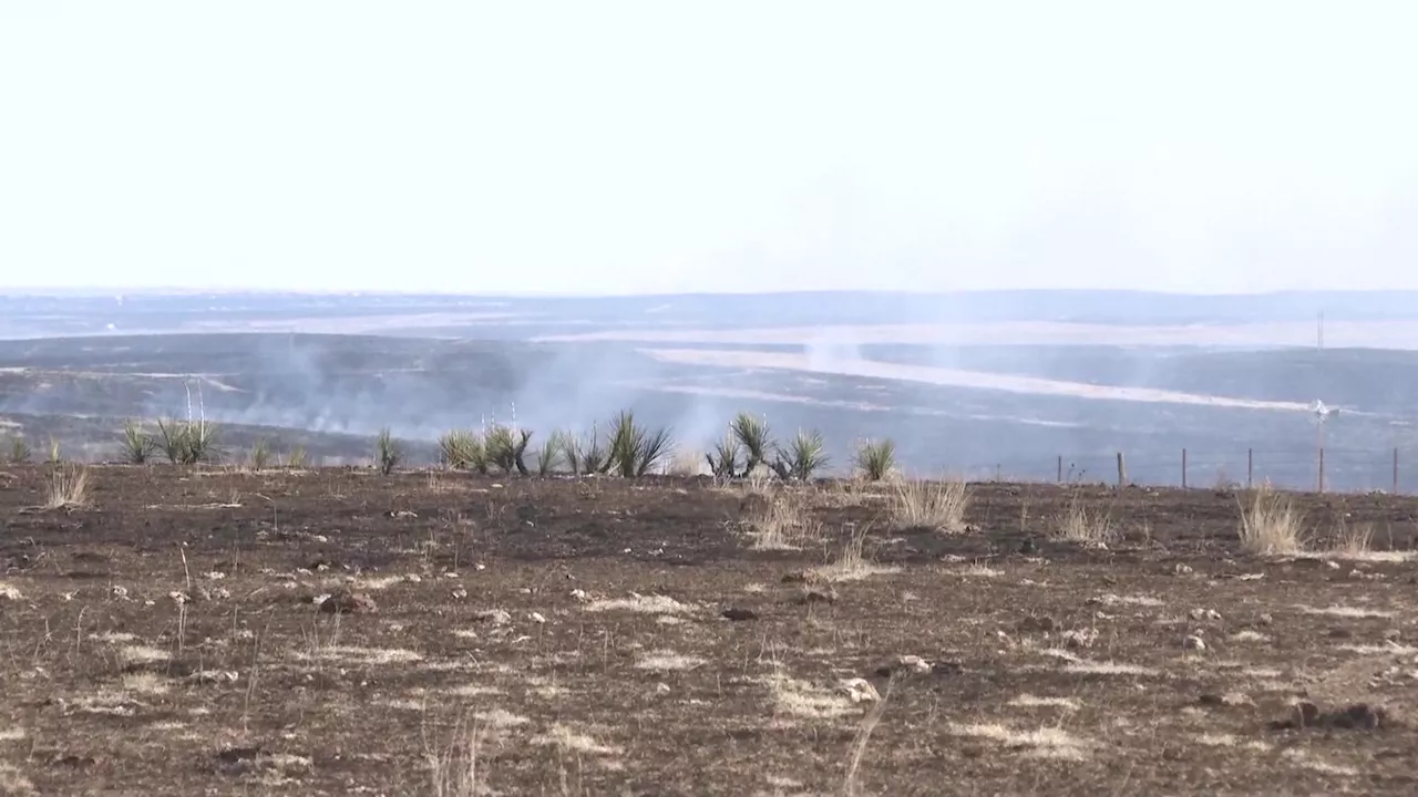 Largest wildfire in Texas history 100% contained; $800,000 raised to help farmers, ranchers