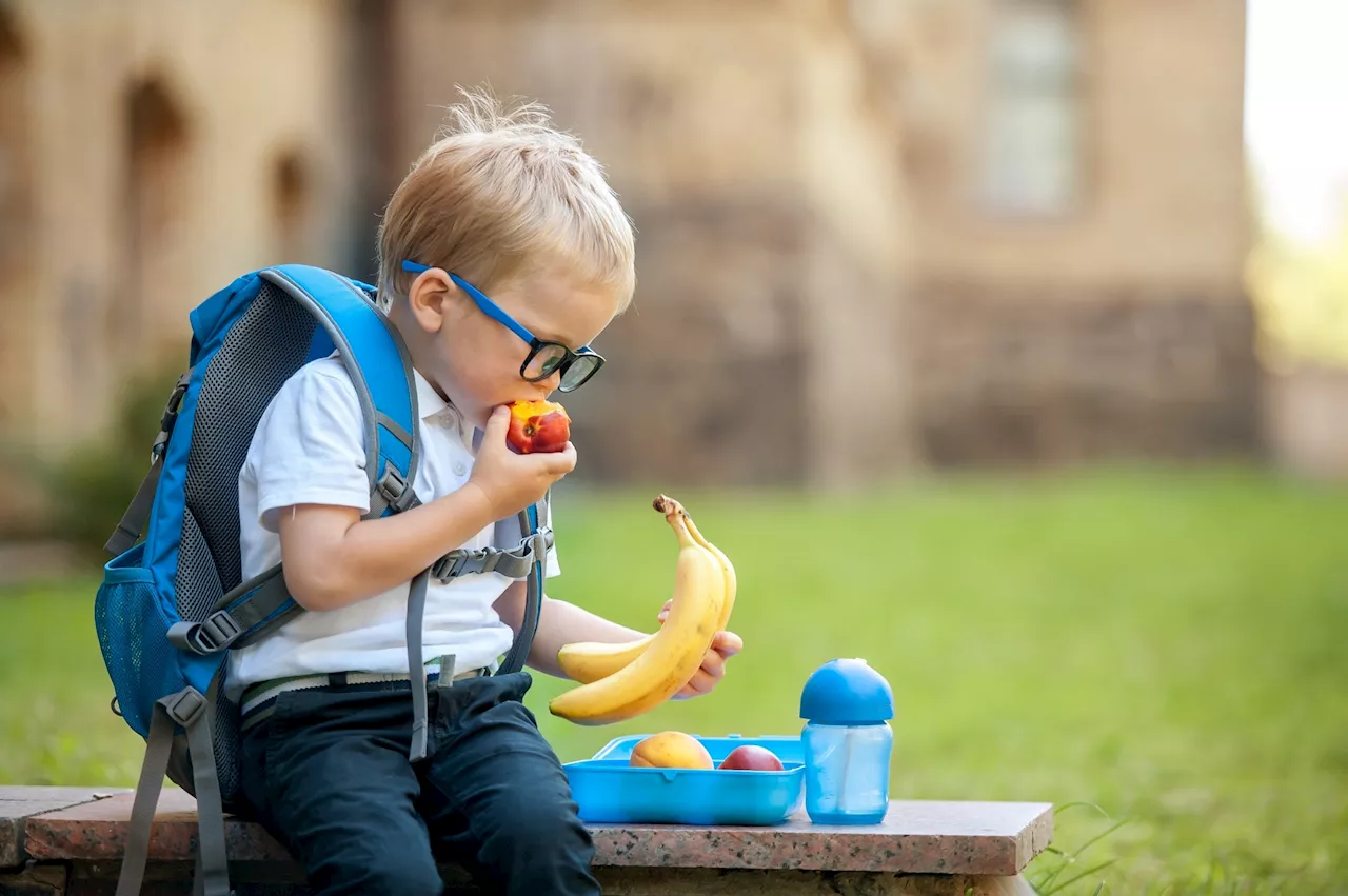 Global scale to grade preschoolers' eating habits unveiled