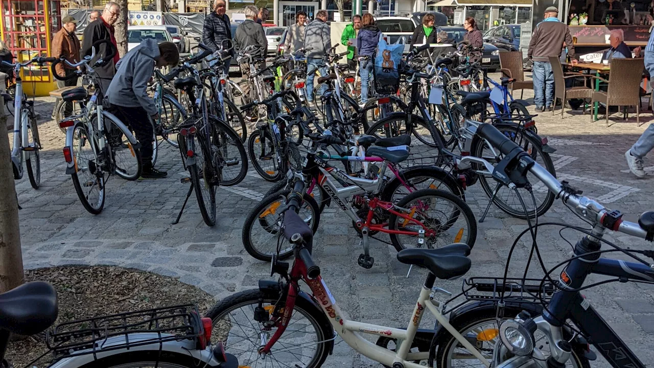 Wenn Hollabrunns Hauptplatz von Drahteseln gesäumt wird