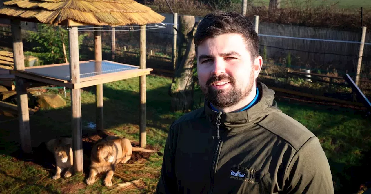 'Interest' in rejected animal sanctuary plans, says lionkeeper