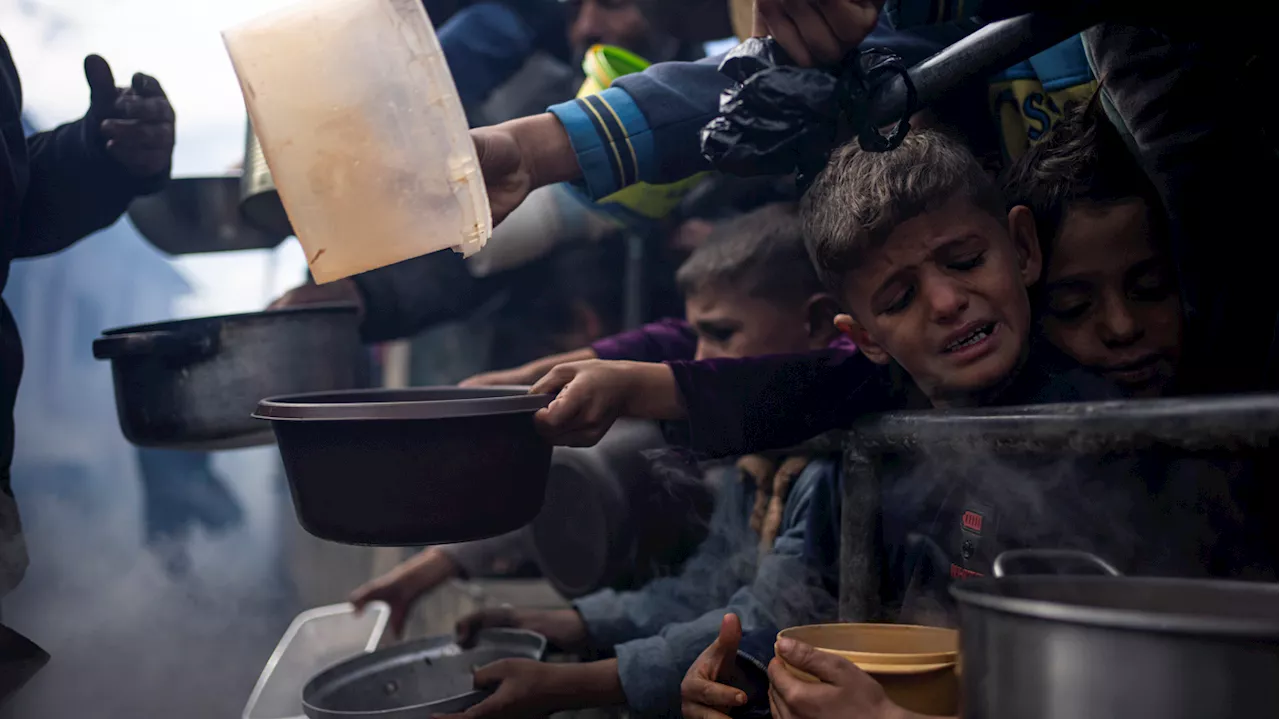 Famine in northern Gaza is 'imminent,' warns the world's leading authority on hunger