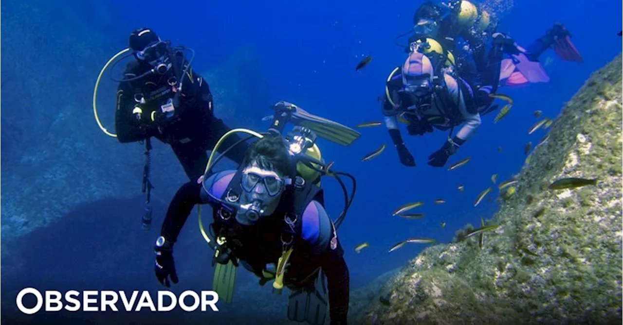 PS/Açores questiona Governo Regional sobre câmaras hiperbáricas