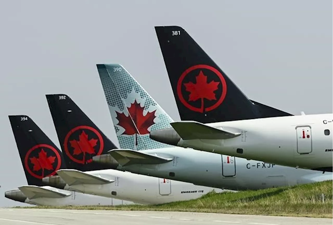 Advocates and Air Canada's CEO Clash Over Accessibility in Aviation System